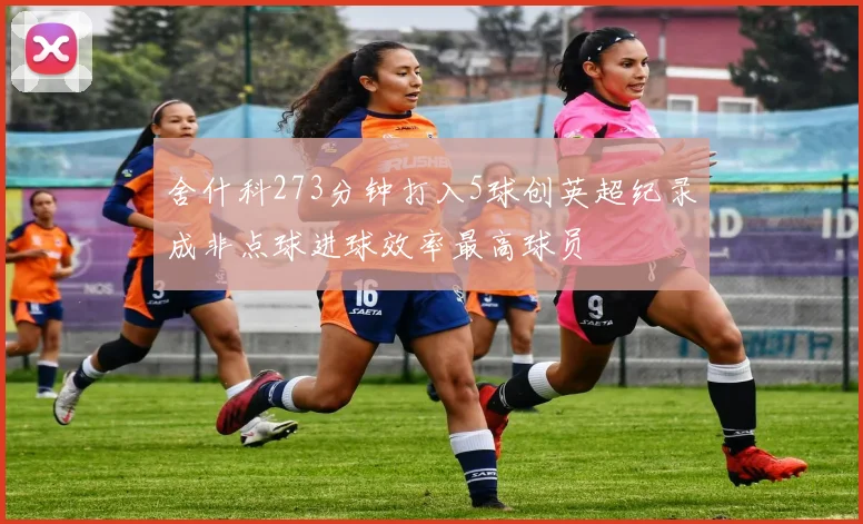 舍什科273分钟打入5球创英超纪录成非点球进球效率最高球员
