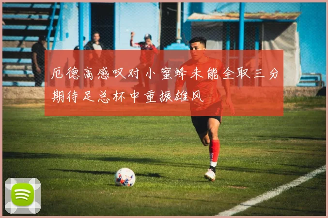 厄德高感叹对小蜜蜂未能全取三分期待足总杯中重振雄风
