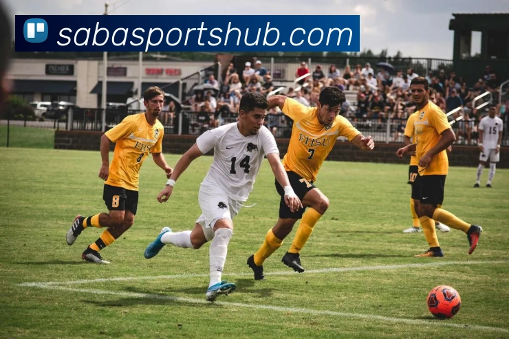 沙巴体育服务体系